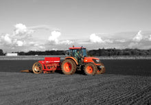 Load image into Gallery viewer, Whole Barley