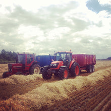 Load image into Gallery viewer, Whole Barley