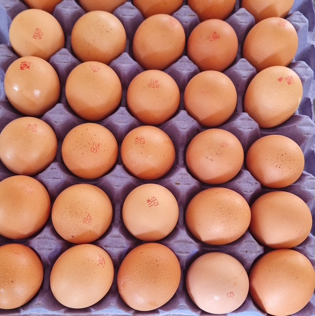 Fresh Eggs -Free Range, Golden Yolk
