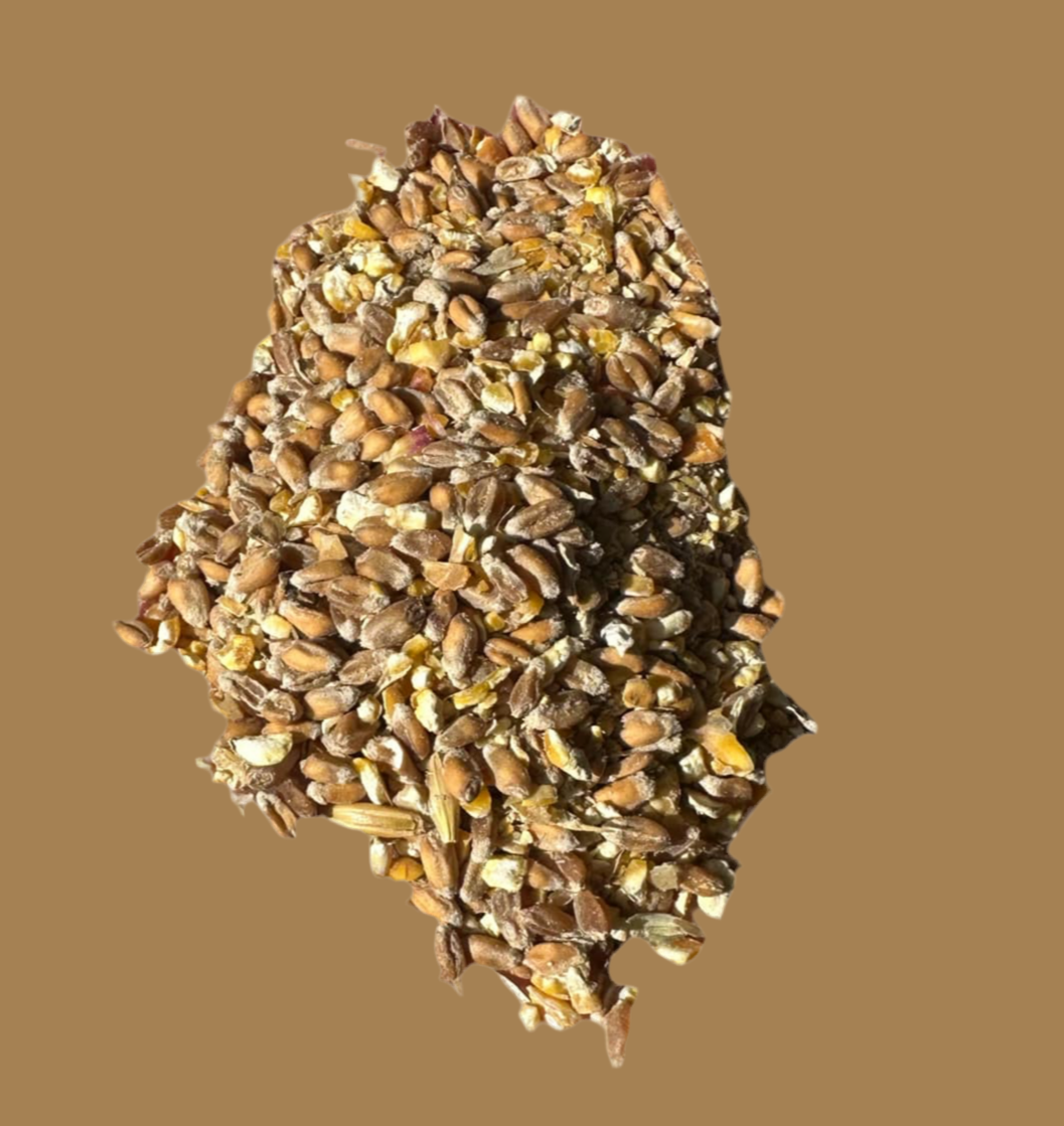 Mixed Corn