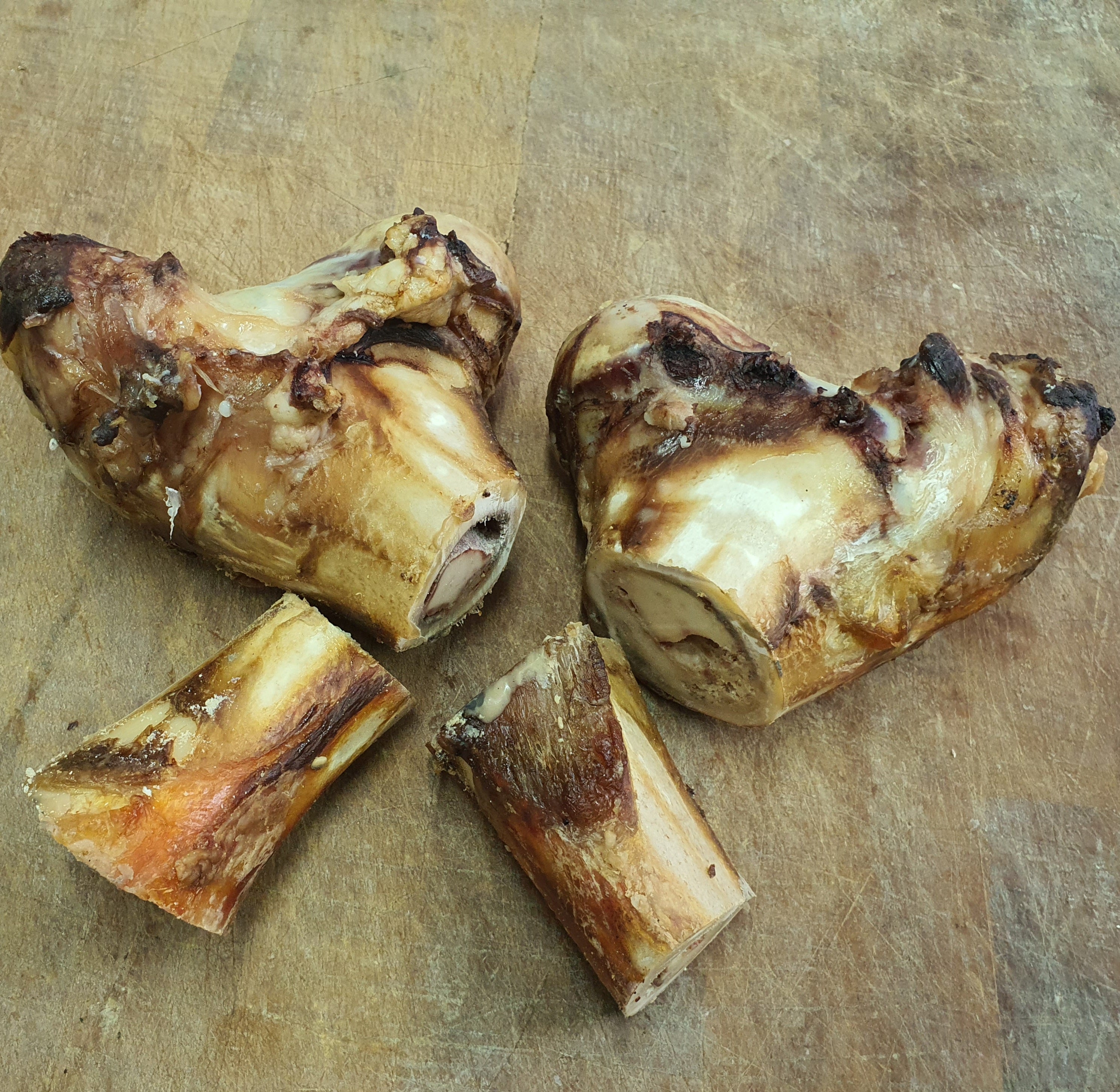 Dogs and bone outlet marrow