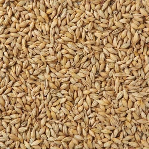 Whole Barley