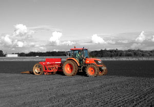 Rolled Barley